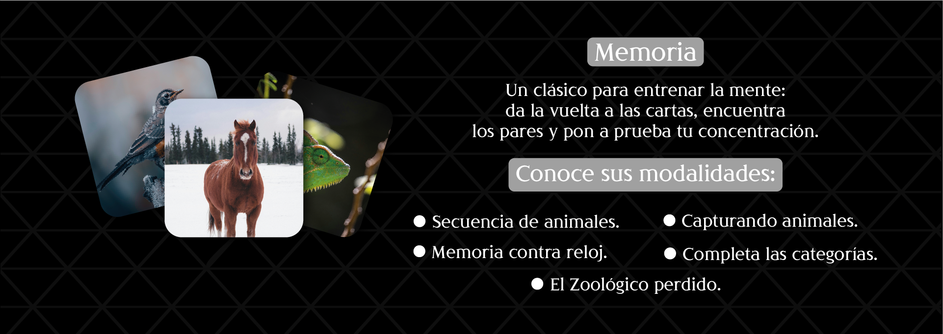 2doCarrusell_1